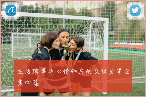 生活琐事与心情碎片的交织分享合集四篇